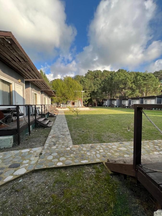 Mini-Hotel Forest Club Pizunda Extérieur photo