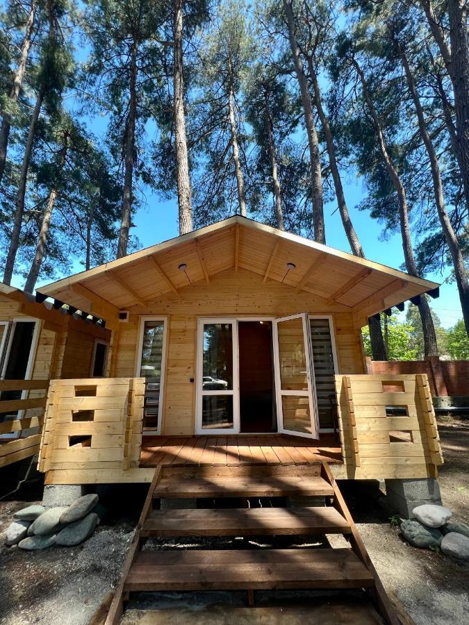 Mini-Hotel Forest Club Pizunda Extérieur photo